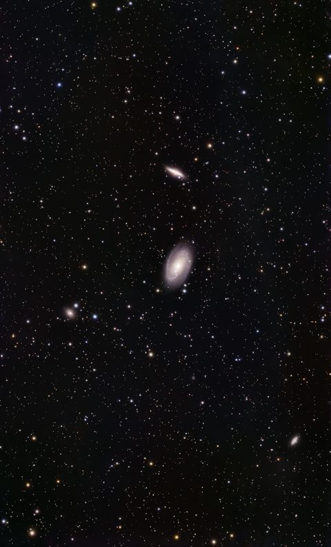 M81