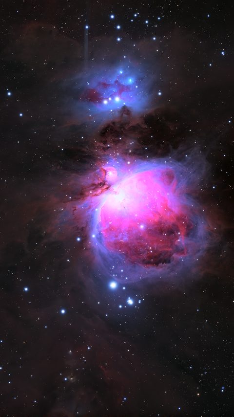 M42