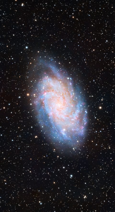 M33