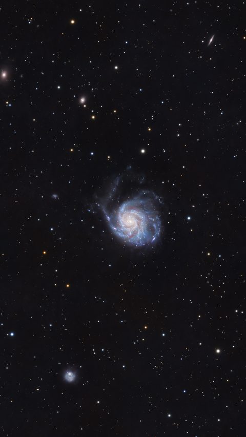 M101